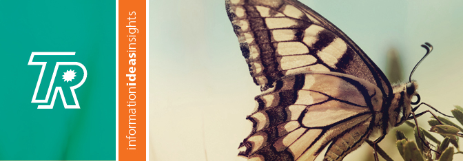 TR_blog_butterfly